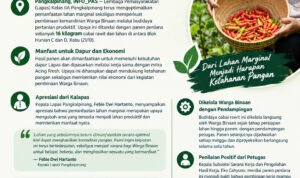 Chili Harvest at Pangkalpinang Prison3