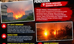 Kebakaran Hebat Landa Permukiman Bangka Selatan