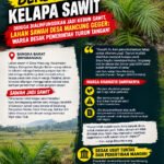 Save Mancungβs Rice Fields3